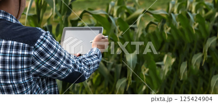 Modern agriculture concept. Man holding tablet in a green corn field, agro tech innovation with copy space, sustainable farming technology 125424904