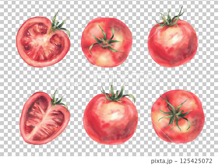 Red tomatoes vegetables watercolor set. Illustration isolated on white.Whole and half sliced ripe fruit with stalk. Hand drawn sketch in realistic style. Natural clipart. Farm plats for vegetarians 125425072
