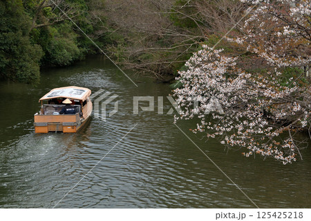 松江市 松江城の堀川めぐり 桜の季節 松江市 松江城の堀川めぐり 桜の季節 125425218