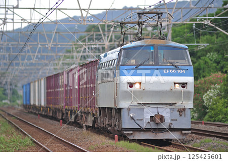 東海道本線　二宮－国府津　JR貨物　EF66-104（吹田） 125425601