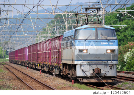 東海道本線 二宮-国府津 JR貨物 EF66-115(吹田) 東海道本線 二宮-国府津 JR貨物 EF66-115(吹田) 125425604