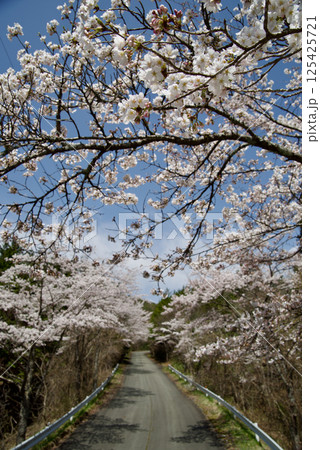 比和ゆめ街道　吾妻路桜街道　夢街道ルネサンス 125425721