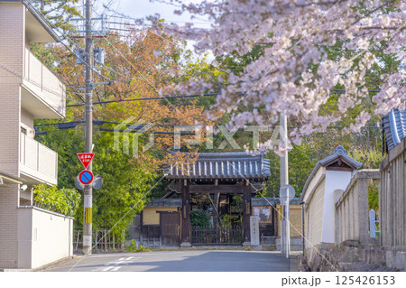京都 迎称寺山門 京都 迎称寺山門 125426153