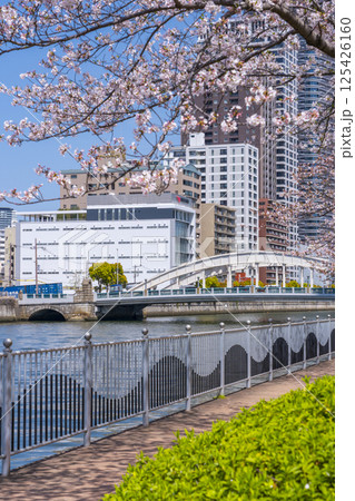 中之島遊歩道　満開の桜並木と堂島大橋 125426160