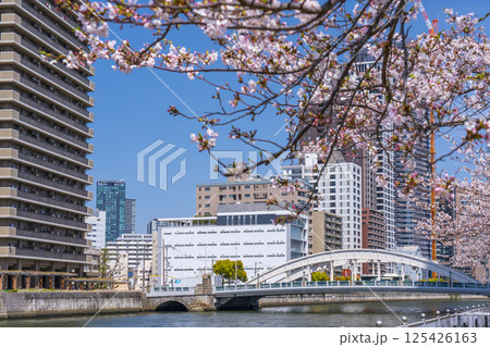 中之島遊歩道　満開の桜並木と堂島大橋 125426163