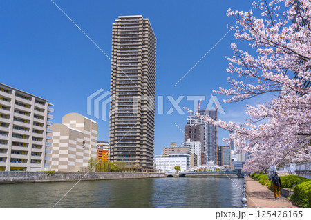 中之島遊歩道　満開の桜並木と堂島大橋 125426165