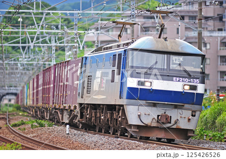 東海道本線 真鶴 JR貨物 EF210-135(新鶴見) 東海道本線 真鶴 JR貨物 EF210-135(新鶴見) 125426526