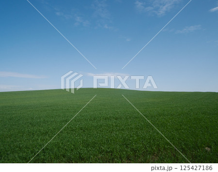 A beautifully serene green landscape featuring a vibrant clear blue sky, perfect for various naturethemed projects 125427186