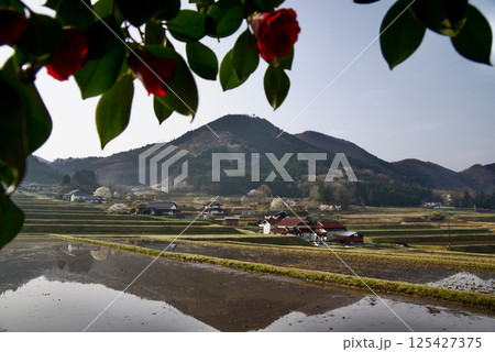 つなぐ棚田遺産認定　三河内の棚田　椿　三つ子山 125427375