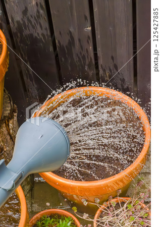 Watering can pouring water into orange garden pot with soil in spring garden. High quality photo Watering can pouring water into orange garden pot with soil in spring garden. High quality photo 125427885
