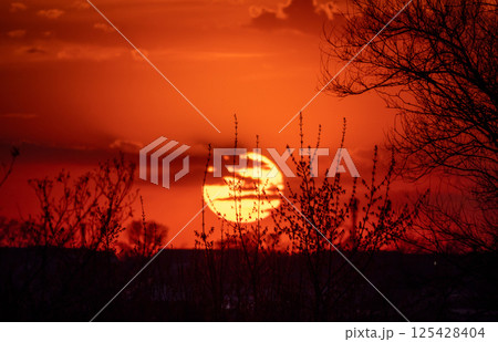 Beautiful sunset 125428404