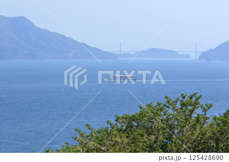 穏やかな春の瀬戸の海をゆっくり進む豪華客船 125428690