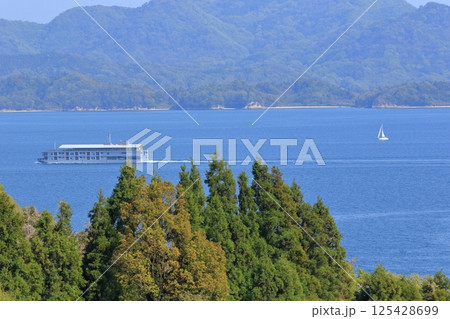 穏やかな瀬戸の海を ゆっくり進む豪華客船 穏やかな瀬戸の海を ゆっくり進む豪華客船 125428699