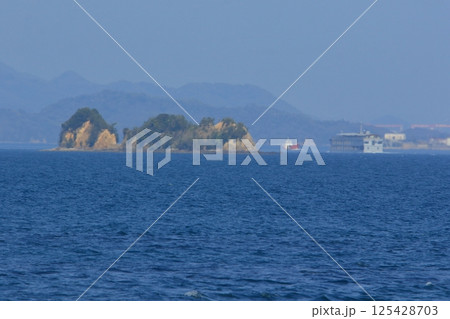 瀬戸内海をゆっくり進む豪華客船～大芝島から望む 125428703