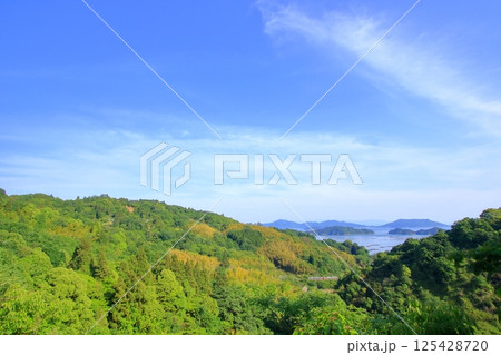 緑豊かな初夏の瀬戸内を走るローカル線 125428720