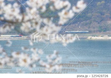 春の瀬戸内海沿いをゆく観光列車エトセトラ 春の瀬戸内海沿いをゆく観光列車エトセトラ 125428726