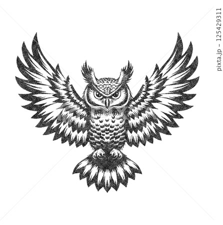 Owl Illustration with Risograph Overprint and Retro Texture Owl Illustration with Risograph Overprint and Retro Texture 125429311