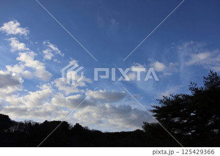 早朝の晴れた空 125429366
