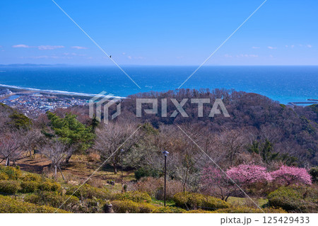 神奈川県平塚市の高麗山公園(湘南平)から東側の眺望(高麗山公園,大磯町東町,花水川,唐ケ原,相模湾な 神奈川県平塚市の高麗山公園(湘南平)から東側の眺望(高麗山公園,大磯町東町,花水川,唐ケ原,相模湾な 125429433