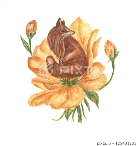 Watercolor illustration of a small fox sitting in a large yellow flower with buds. A fantastic hand-drawn image. A of vintage-style for stickers, tattoos and prints. Watercolor illustration of a small fox sitting in a large yellow flower with buds. A fantastic hand-drawn image. A of vintage-style for stickers, tattoos and prints. 125431233