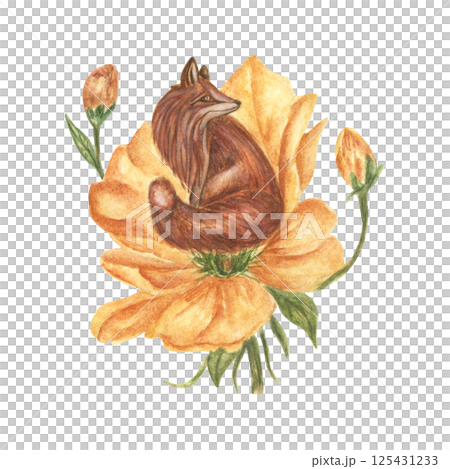 Watercolor illustration of a small fox sitting in a large yellow flower with buds. A fantastic hand-drawn image. A of vintage-style for stickers, tattoos and prints. Watercolor illustration of a small fox sitting in a large yellow flower with buds. A fantastic hand-drawn image. A of vintage-style for stickers, tattoos and prints. 125431233