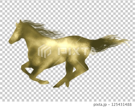 Luxurious horse illustration material Luxurious horse illustration material 125431488