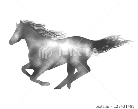 美しい馬の墨絵素材 美しい馬の墨絵素材 125431489