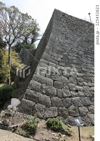 丸亀城高石垣（見返り坂横の三の丸北石垣） 125431623