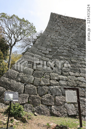 丸亀城高石垣（見返り坂横の三の丸北石垣） 125431624