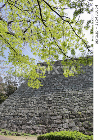 春、丸亀城三の丸の高石垣と新緑 125431654