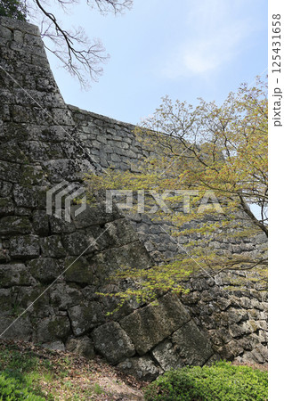 春、丸亀城の見返り坂から三の丸の高石垣と新緑を見る 春、丸亀城の見返り坂から三の丸の高石垣と新緑を見る 125431658