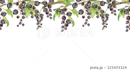 Currant gooseberry clusters with leaves on branch, ripe berry juneberry casseille jostaberry, hand drawn in watercolor. Isolated seamless banner border for dessert menu, eco farmers market, gardening 125433324
