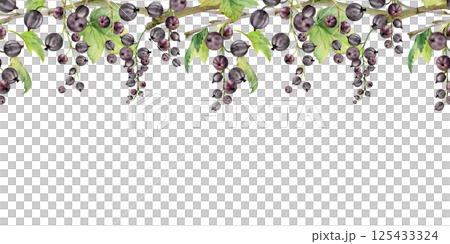Currant gooseberry clusters with leaves on branch, ripe berry juneberry casseille jostaberry, hand drawn in watercolor. Isolated seamless banner border for dessert menu, eco farmers market, gardening 125433324