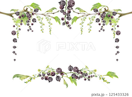Currant gooseberry green leaves, long flower clusters, garden berry hanging on branches. Isolated corner frame hand drawn in watercolor. Craft cosmetics, dessert menu stationery, jam jar food labels 125433326