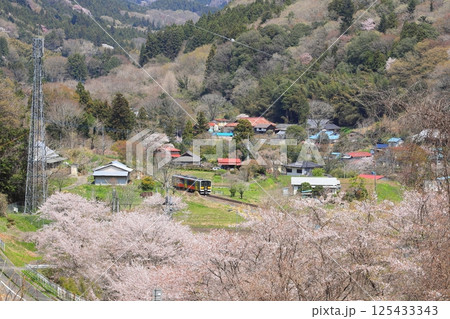 水郡線「桜咲く里山風景を走る赤い列車」 125433343