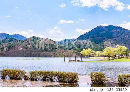 蔵王山麓 七ヶ宿ダム公園　春 125433370