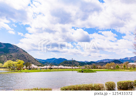 蔵王山麓 七ヶ宿ダム公園　春 125433372