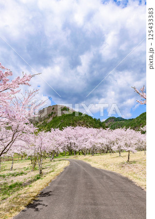 蔵王山麓 七ヶ宿ダム公園　春 125433383