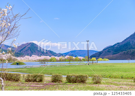 蔵王山麓 七ヶ宿ダム公園 春 蔵王山麓 七ヶ宿ダム公園 春 125433405