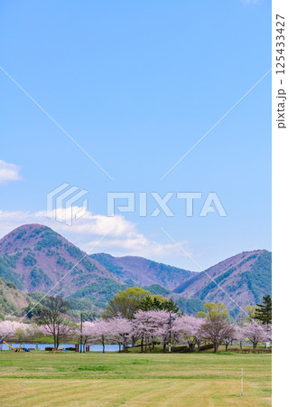 蔵王山麓 七ヶ宿ダム公園 春 蔵王山麓 七ヶ宿ダム公園 春 125433427