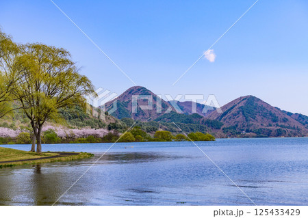 蔵王山麓 七ヶ宿ダム公園　春 125433429