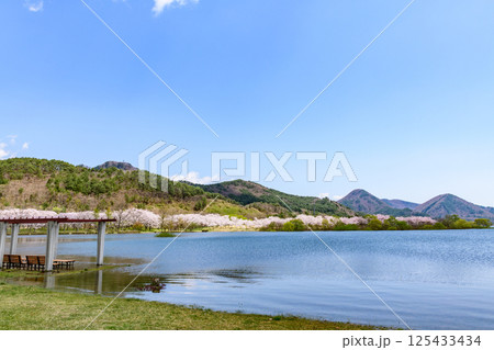 蔵王山麓 七ヶ宿ダム公園　春 125433434