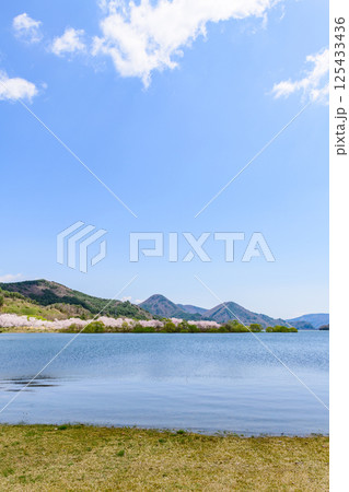 蔵王山麓 七ヶ宿ダム公園　春 125433436