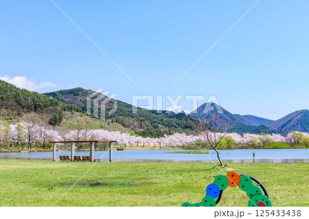 蔵王山麓 七ヶ宿ダム公園　春 125433438