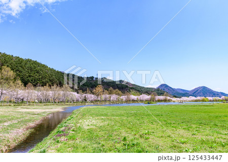 蔵王山麓 七ヶ宿ダム公園　春 125433447