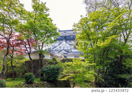 岡崎城 岡崎城 125433972