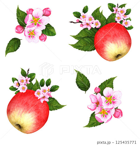 Watercolor botanical apple and pink floral seamless pattern. Summer floral background, nature wallpaper, watercolor backdrop fashion textile Watercolor botanical apple and pink floral seamless pattern. Summer floral background, nature wallpaper, watercolor backdrop fashion textile 125435771