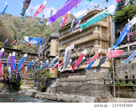 春の祭り 杖立温泉の鯉のぼり (熊本県小国町) 春の祭り 杖立温泉の鯉のぼり (熊本県小国町) 125436369