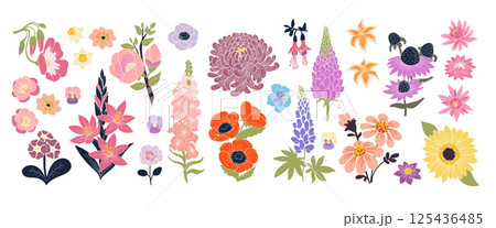 Abstract flower. Design with floral patterns. Nature art, cute doodle graphic. Plant drawing color. Chamomile rose and chrysanthemum. Modern decorative illustration. Vector botanical isolated set 125436485