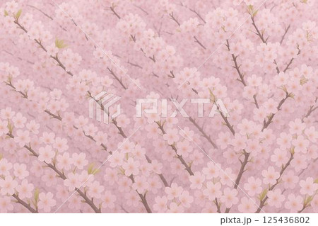 満開の桜 125436802